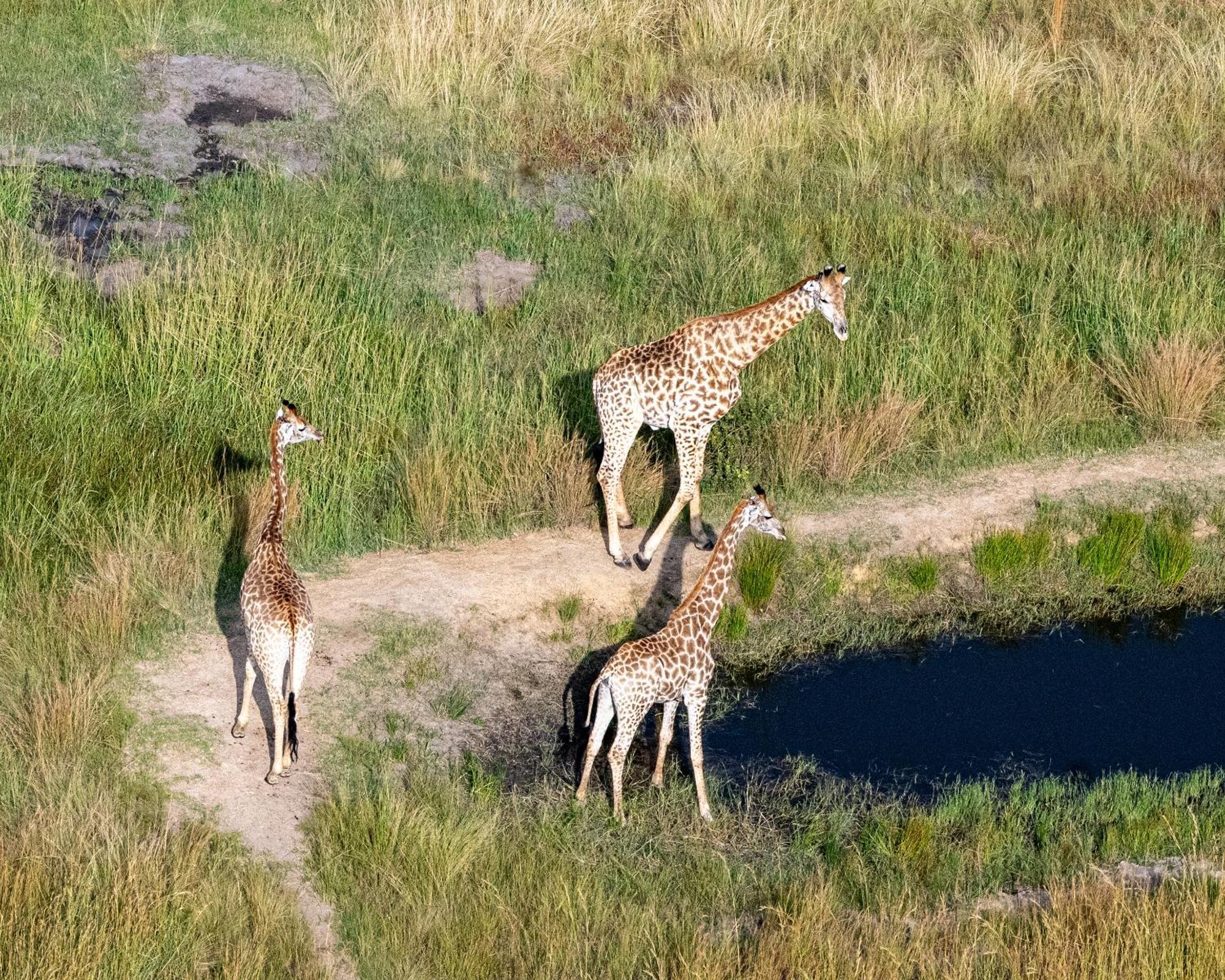 Zulu Rock Lodge - Babanango Game Reserve Ulundi 外观 照片